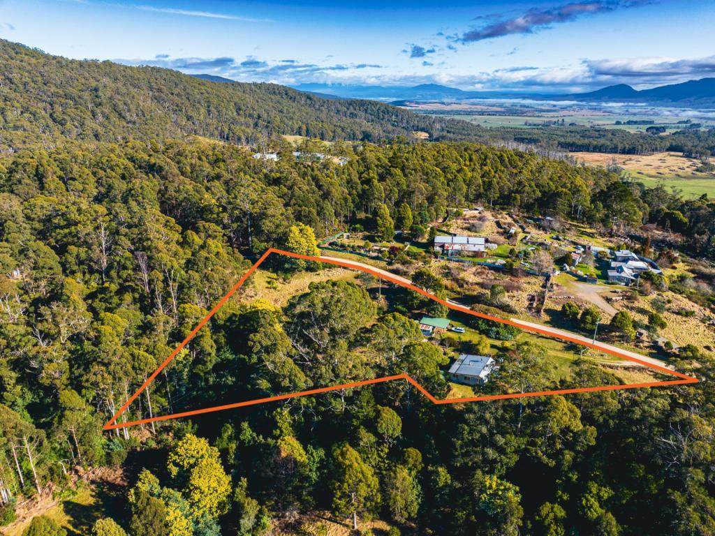 37 Dalmayne Rd, Gray, TAS 7215