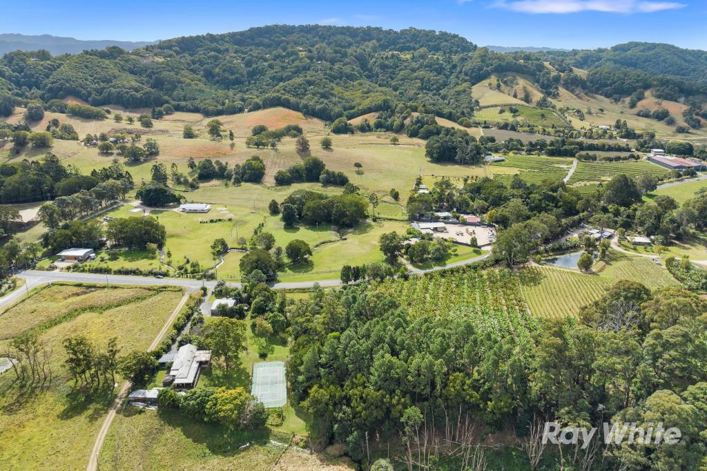 686 CLOTHIERS CREEK RD, CLOTHIERS CREEK, NSW 2484