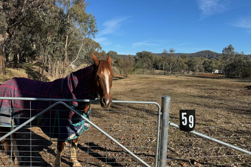 59 KEEBLE WAY, YACKANDANDAH, VIC 3749