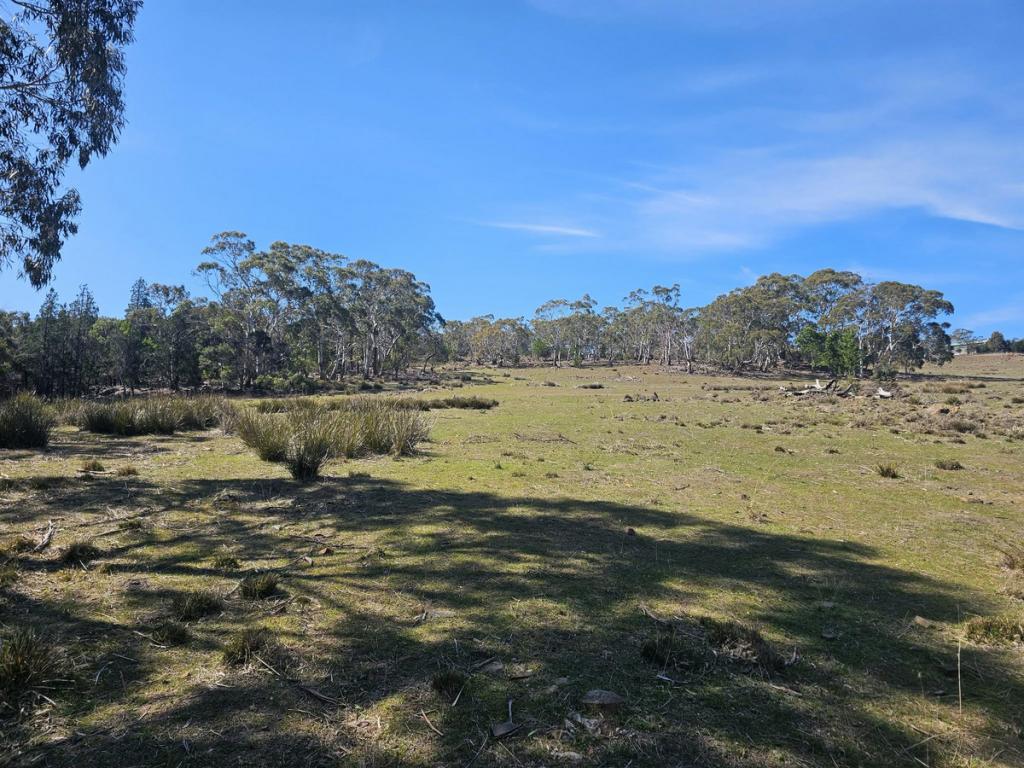 LOT 5 GORDON ST, SWANSEA, TAS 7190
