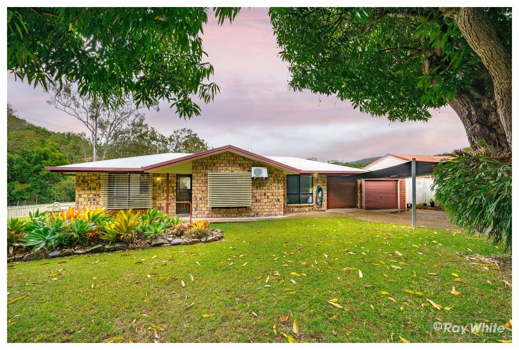 1 Frenchmans Lane, Frenchville, QLD 4701