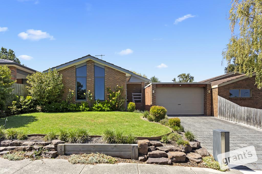 12 Delta Ct, Narre Warren, VIC 3805