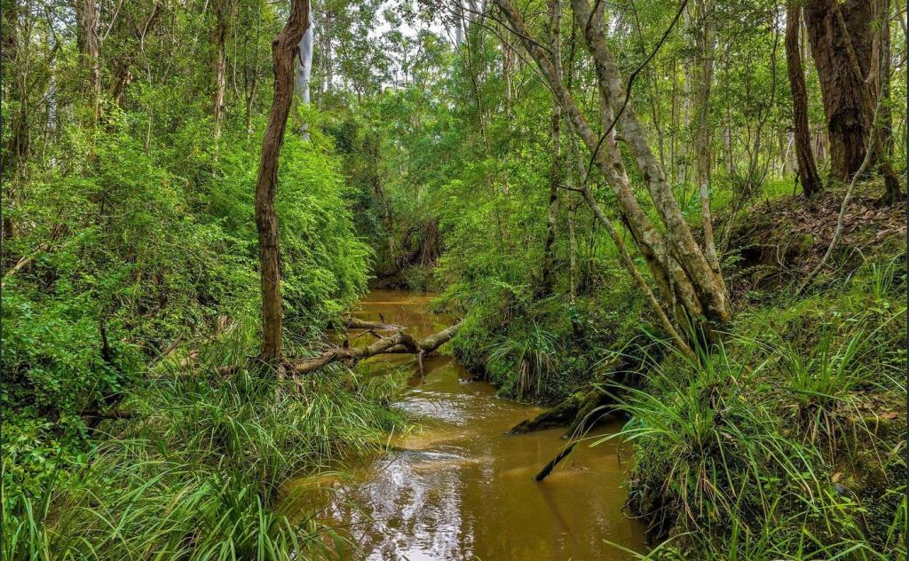 77 Arborfourteen Rd, Glenwood, QLD 4570