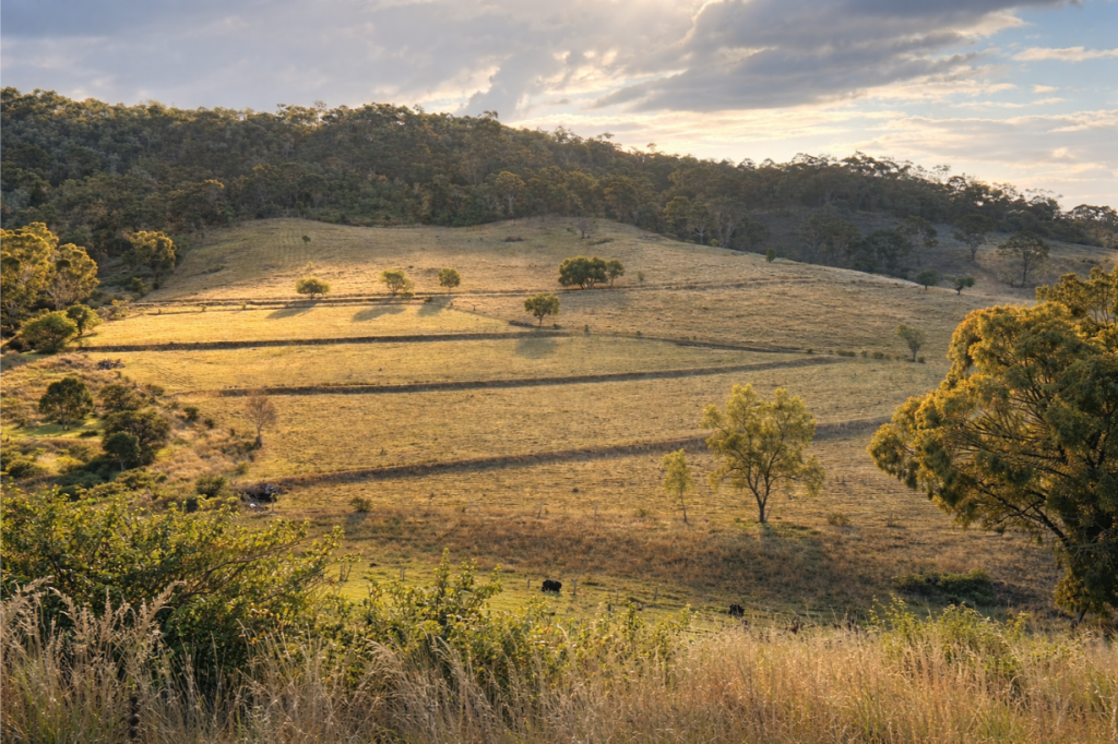 376 Lagoon Creek Rd, West Haldon, QLD 4359