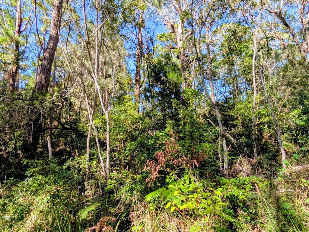 14 Borrows St, Russell Island, QLD 4184