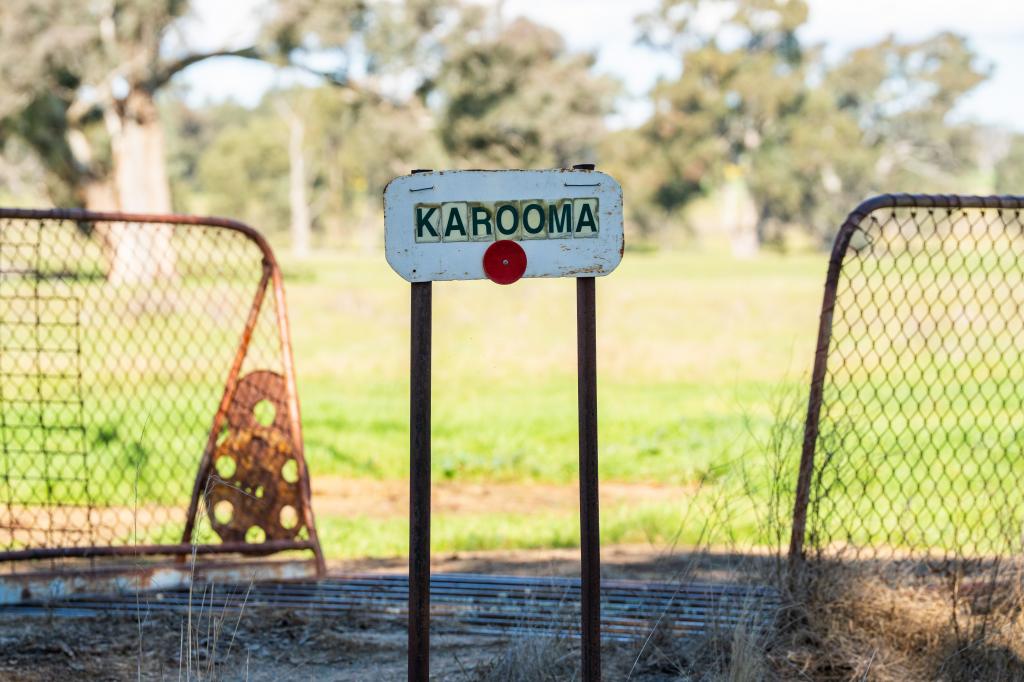 312 MERRI MERIC RD, HENTY, NSW 2658