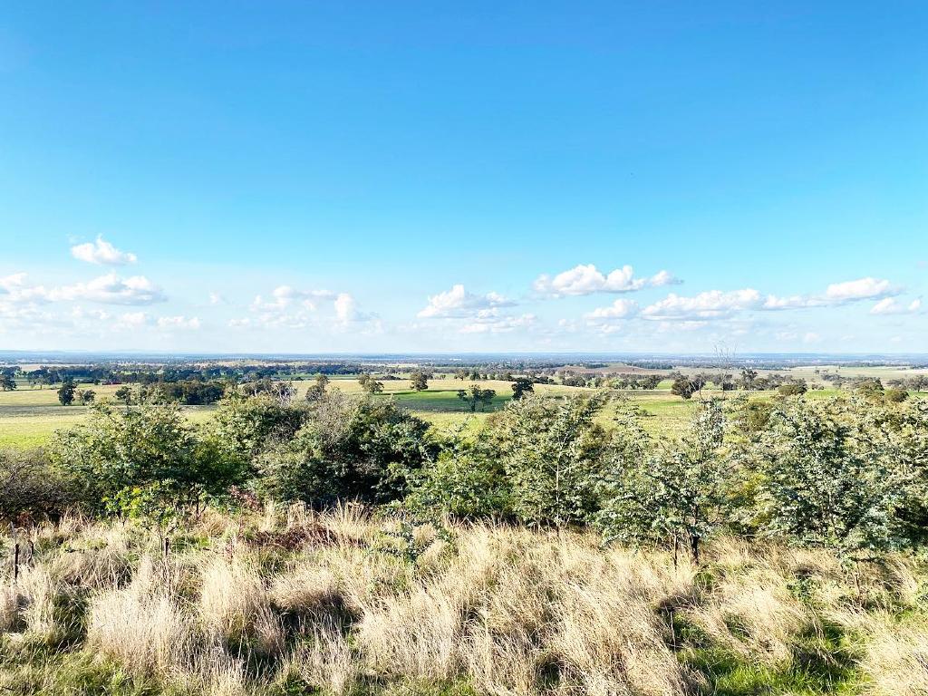 Lot 2 Whites Lane, Stockinbingal, NSW 2725