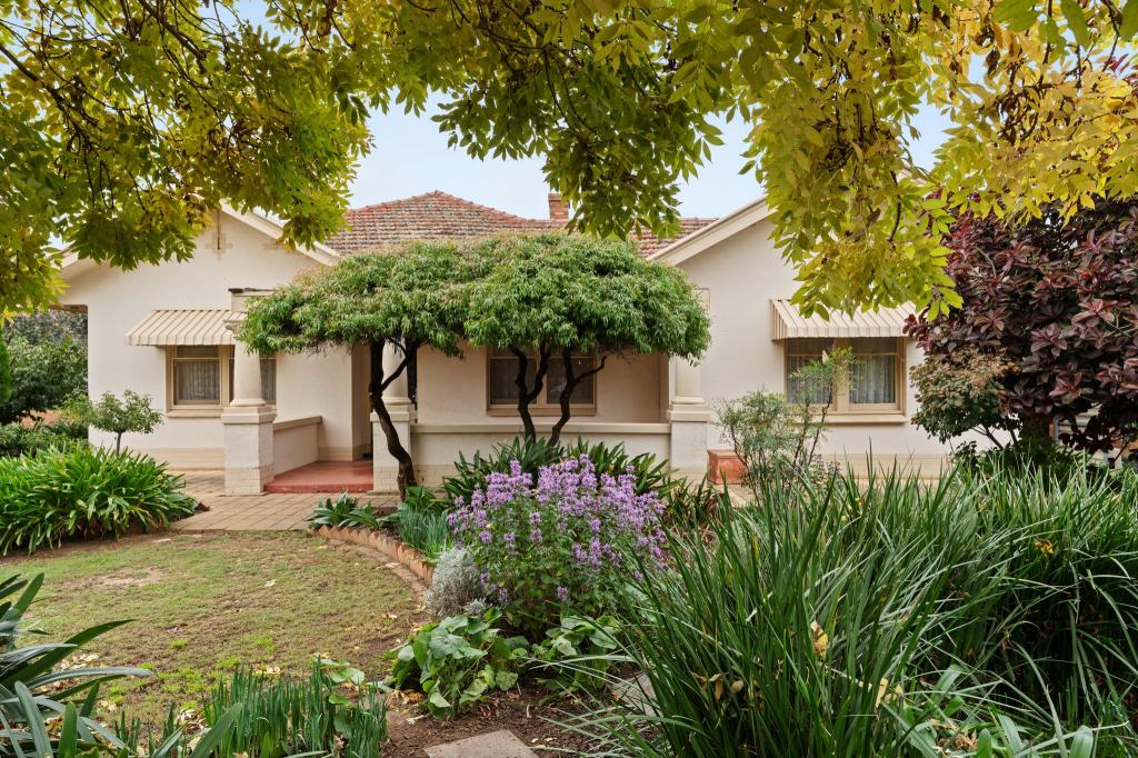17 William Rd, Klemzig, SA 5087