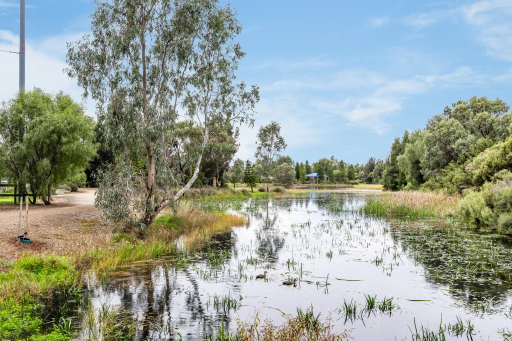 6 Heard Ave, Mawson Lakes, SA 5095