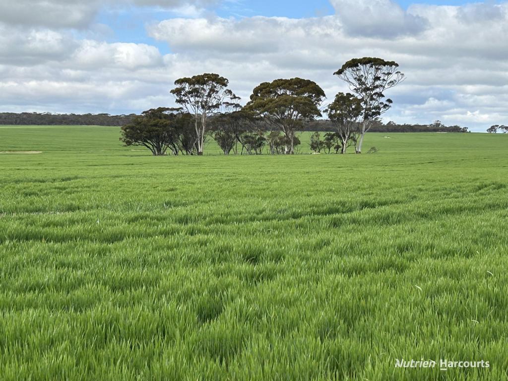 1255 Kukerin South Road ((Lot 14965), Kukerin, WA 6352