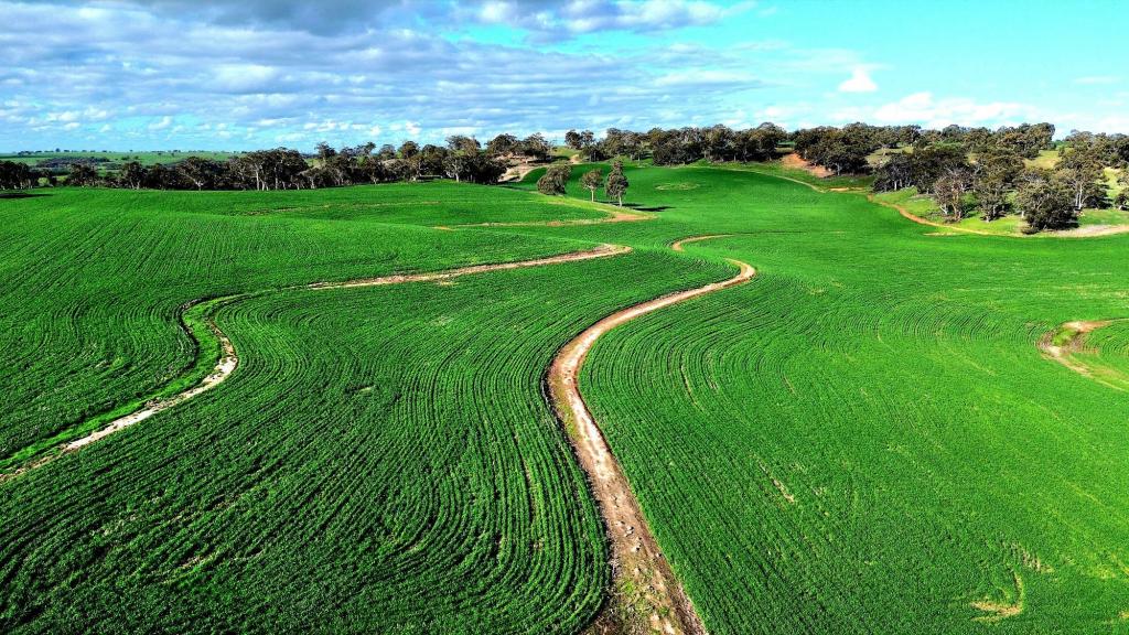 142 Dumbarton Rd, Dumbarton, WA 6566