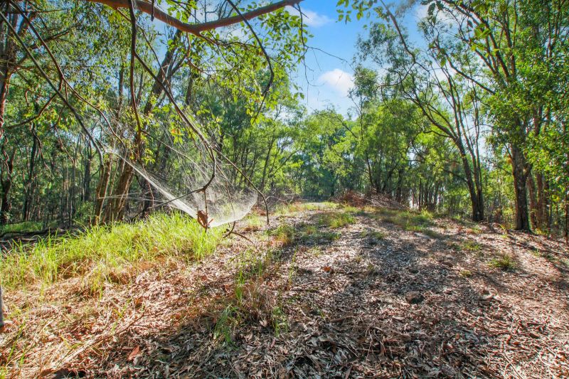 94 Holyrood Rd, Maudsland, QLD 4210