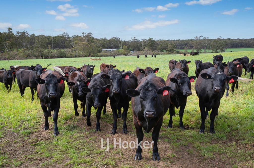498 Carbunup Rd S, Treeton, WA 6284
