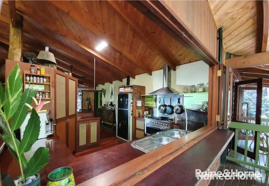 472 Buchanan Creek Road, Cow Bay, Daintree, QLD 4873
