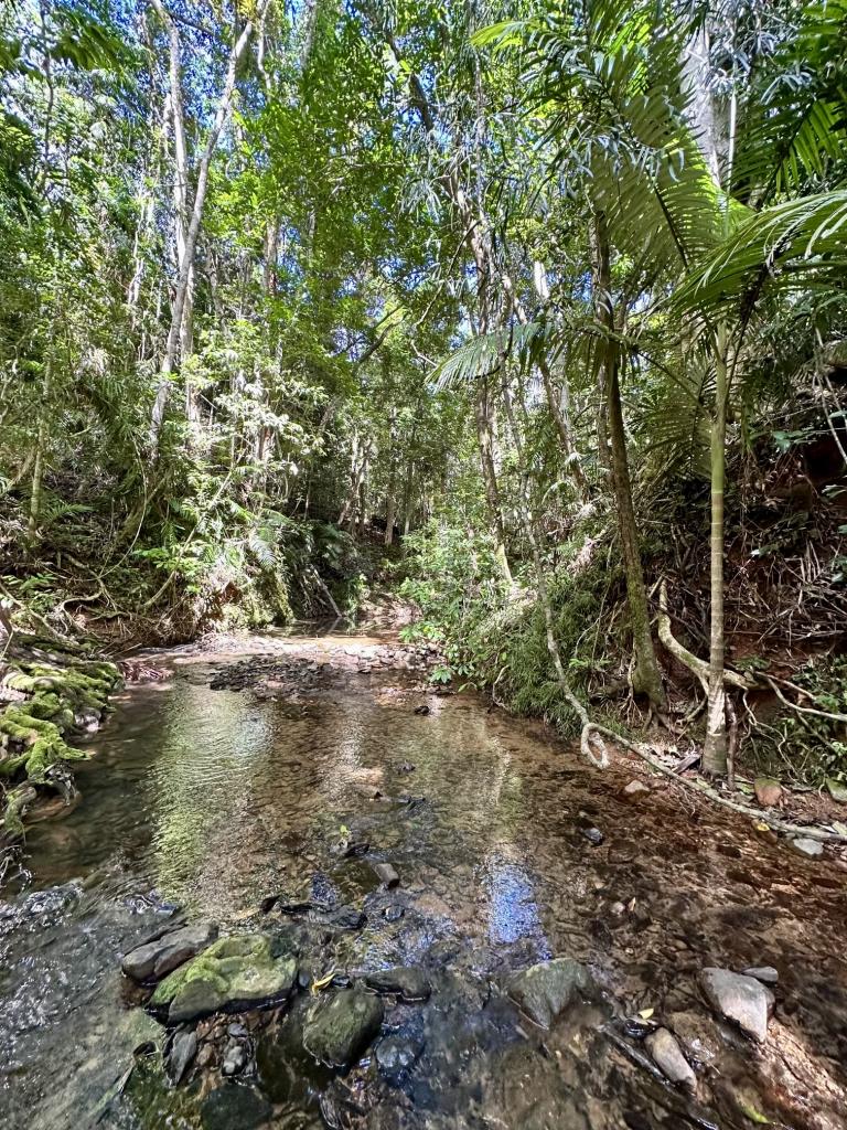 Lot 150 Wattle Close, Cow Bay, Daintree, QLD 4873