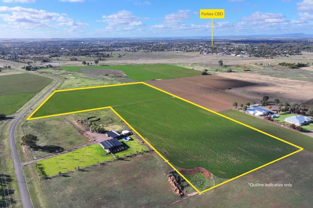 123 River Rd, Forbes, NSW 2871