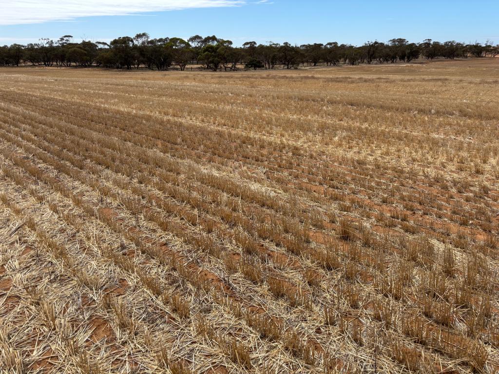 5 Lascelles North Rd, Lascelles, VIC 3487