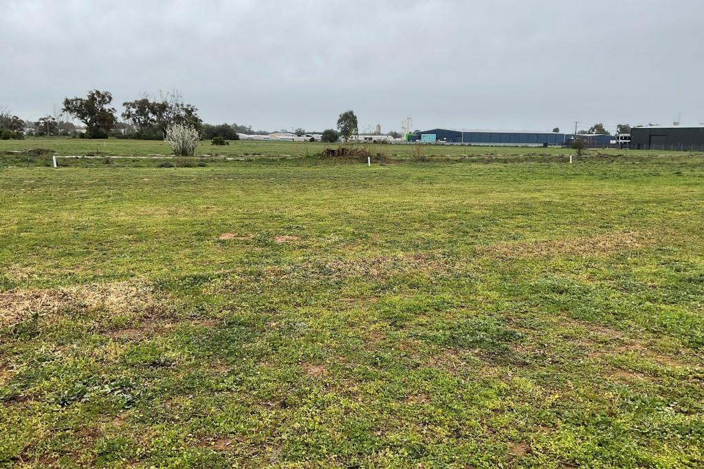 53 Grasso Dr, Cobram, VIC 3644