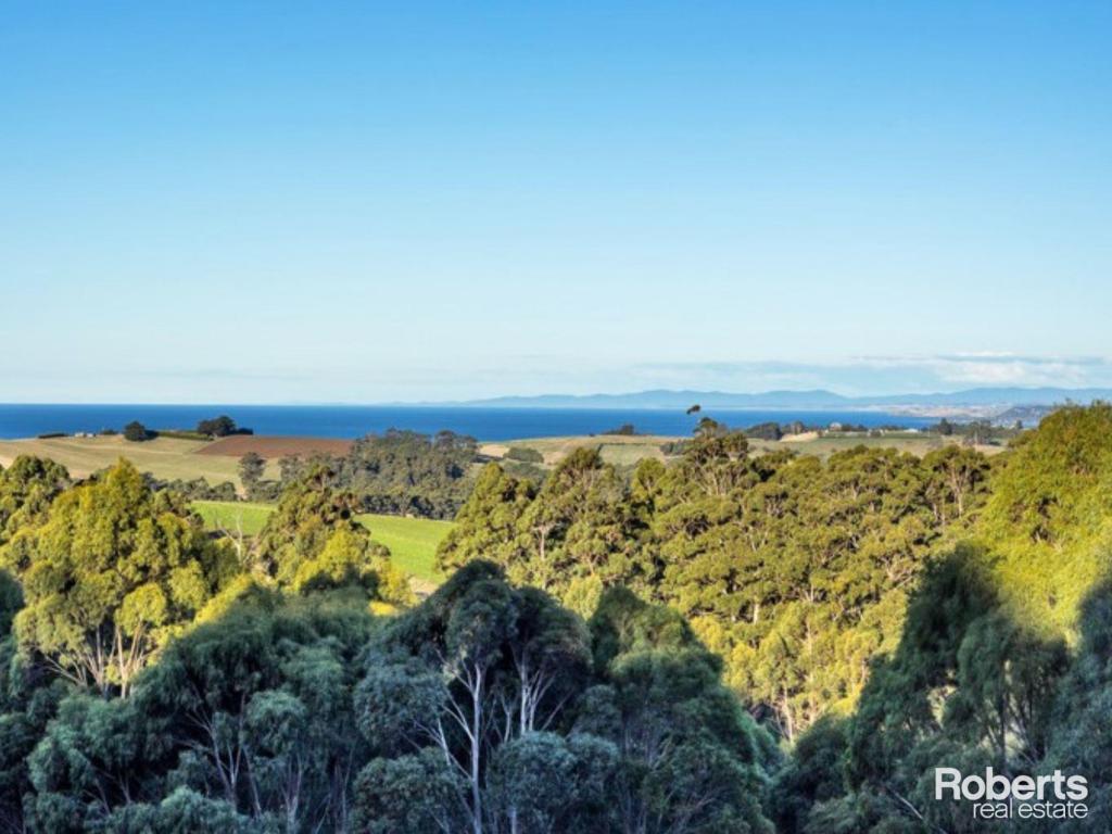 92 White Hills Rd, Penguin, TAS 7316