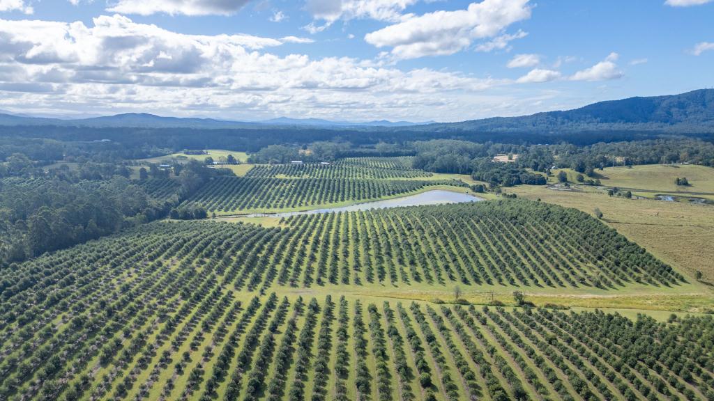 412 South Bank Rd, Tamban, NSW 2441