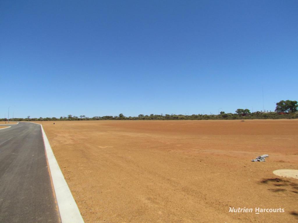 . Lot 821 To Lot 842 York St, Dalwallinu, WA 6609