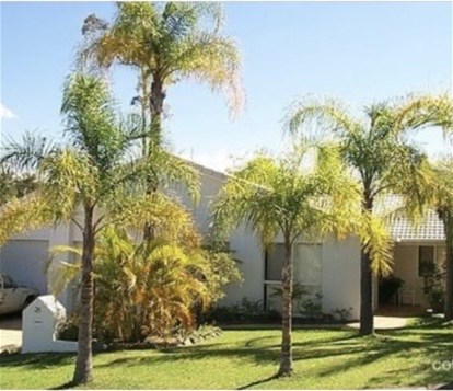 26 Ballyliffen Ct, Robina, QLD 4226