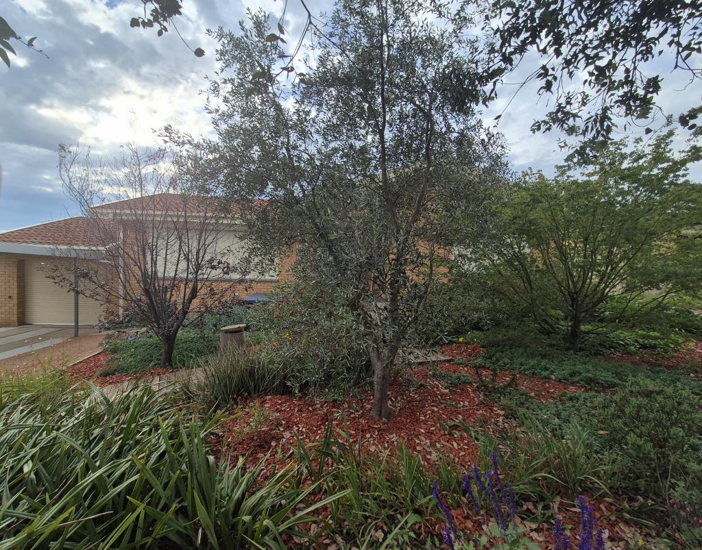 7 Meyers Pl, Macgregor, ACT 2615