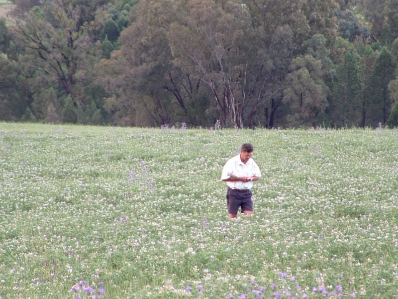 325 Toorawandi Rd, Ulamambri, NSW 2357