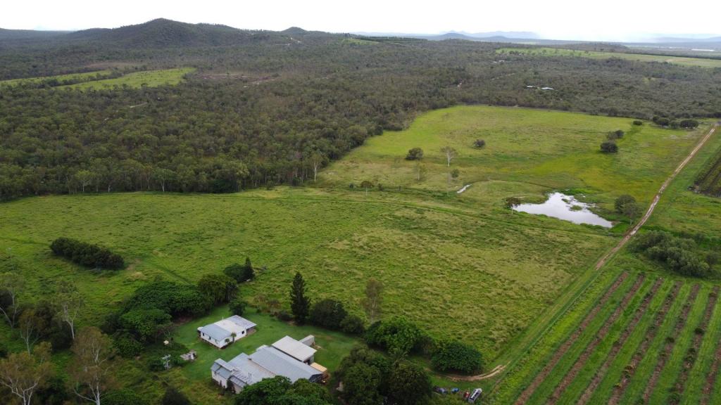 533 Wolfram Rd, Dimbulah, QLD 4872