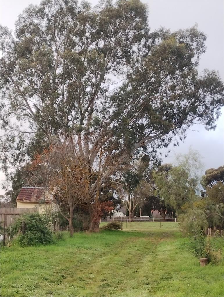 62 Brigade Ave, Campbells Creek, VIC 3451
