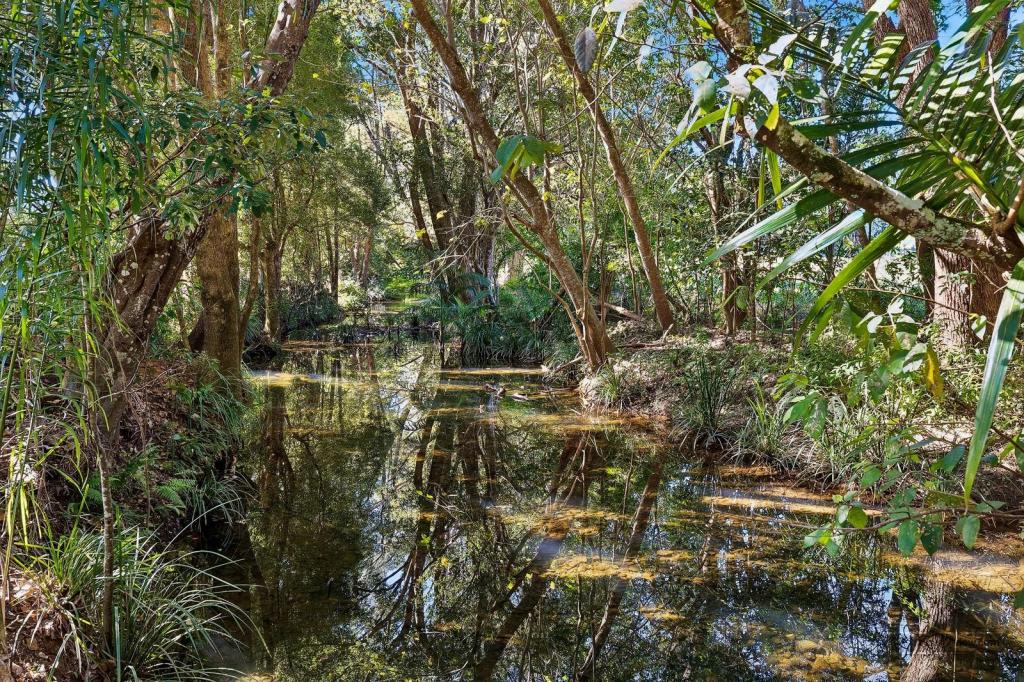 315 Upper Crystal Creek Rd, Upper Crystal Creek, NSW 2484