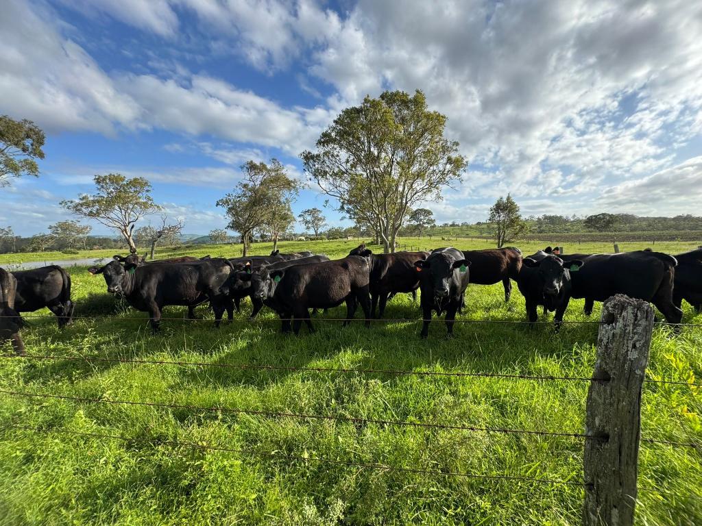 231 Dascombe Rd, Coalbank, QLD 4352