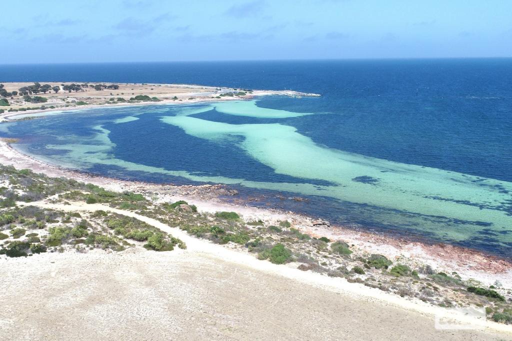 21 EDWARDES TCE, PORT VICTORIA, SA 5573