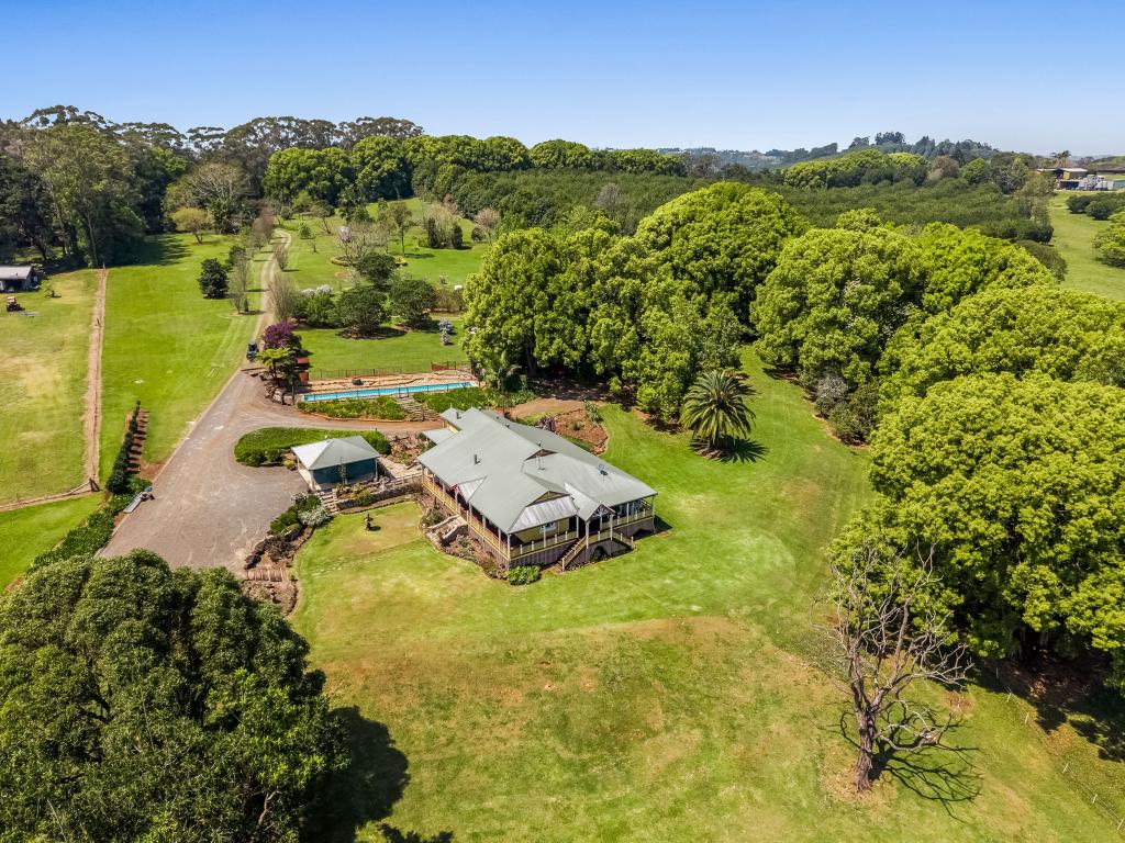 377 Pearces Creek Rd, Alstonvale, NSW 2477