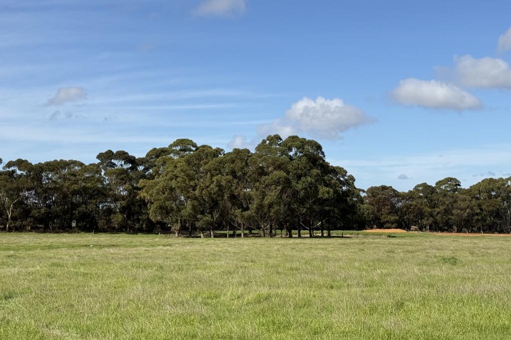 Lot 110/238 Link Rd, Marbelup, WA 6330