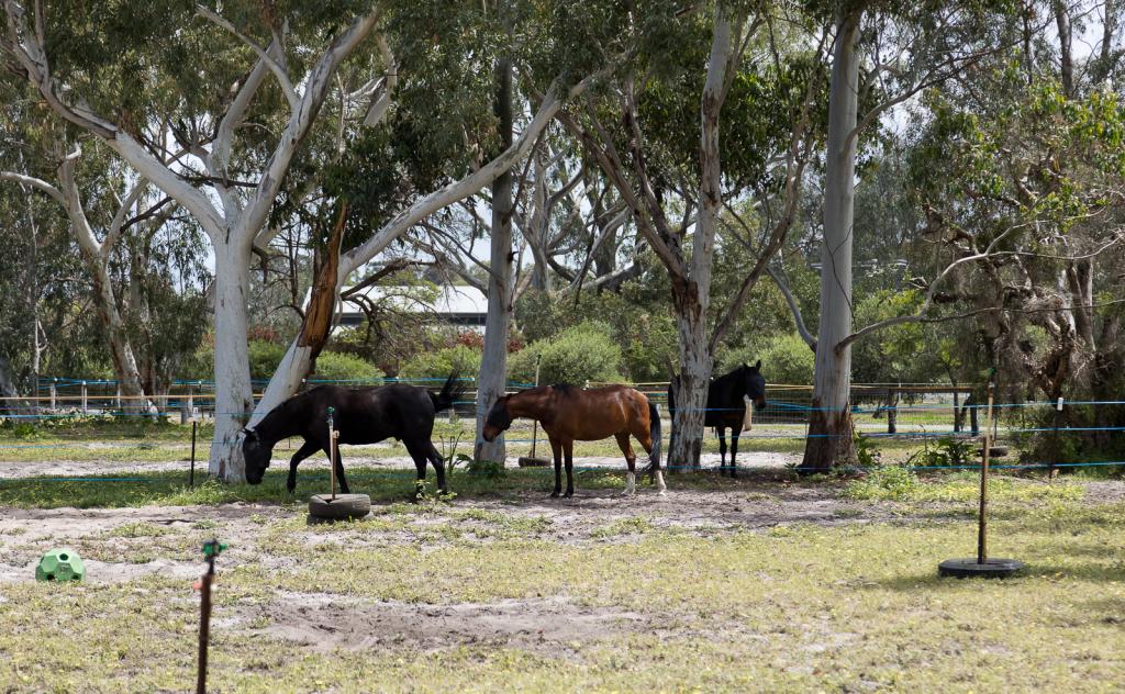 42 Holmes Rd, Oakford, WA 6121