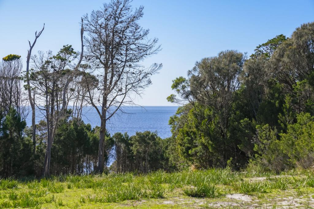 177 HARVEYS FARM RD, BICHENO, TAS 7215