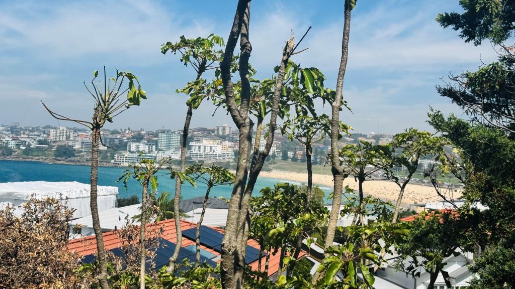 6/149 Hastings Pde, North Bondi, NSW 2026