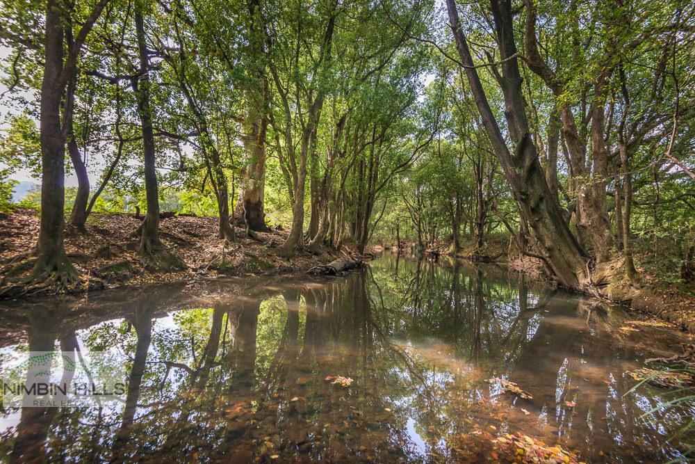 74 Tuntable Falls Rd, Nimbin, NSW 2480