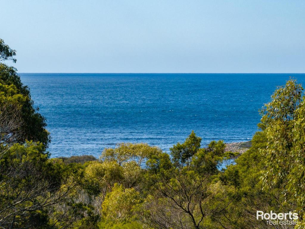 248 Harveys Farm Rd, Bicheno, TAS 7215