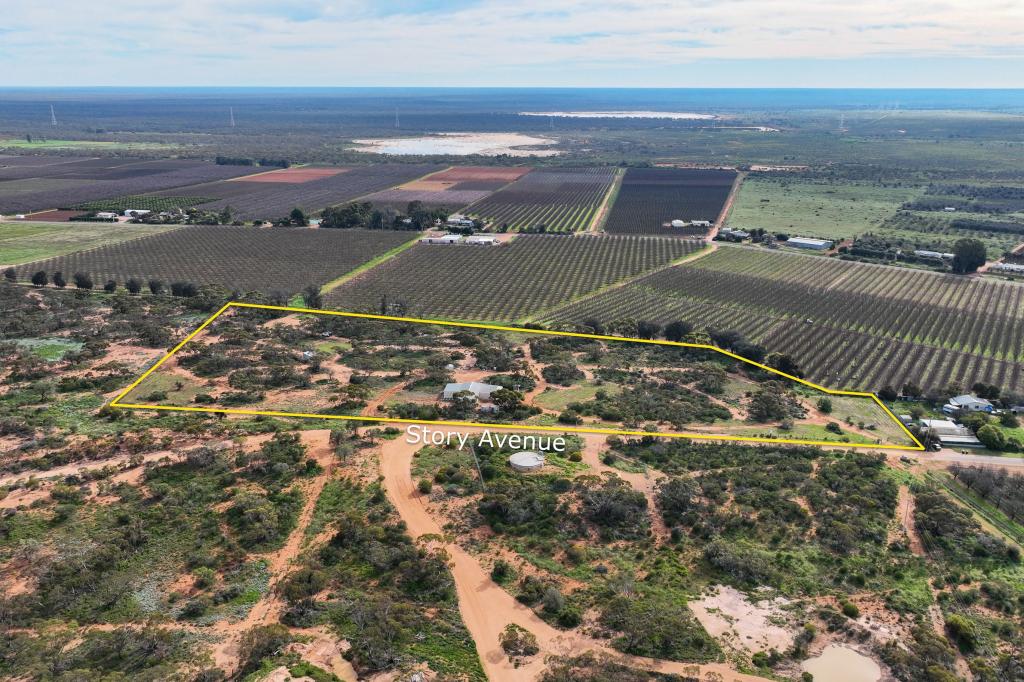 LOT 103 STORY CRES, RENMARK, SA 5341