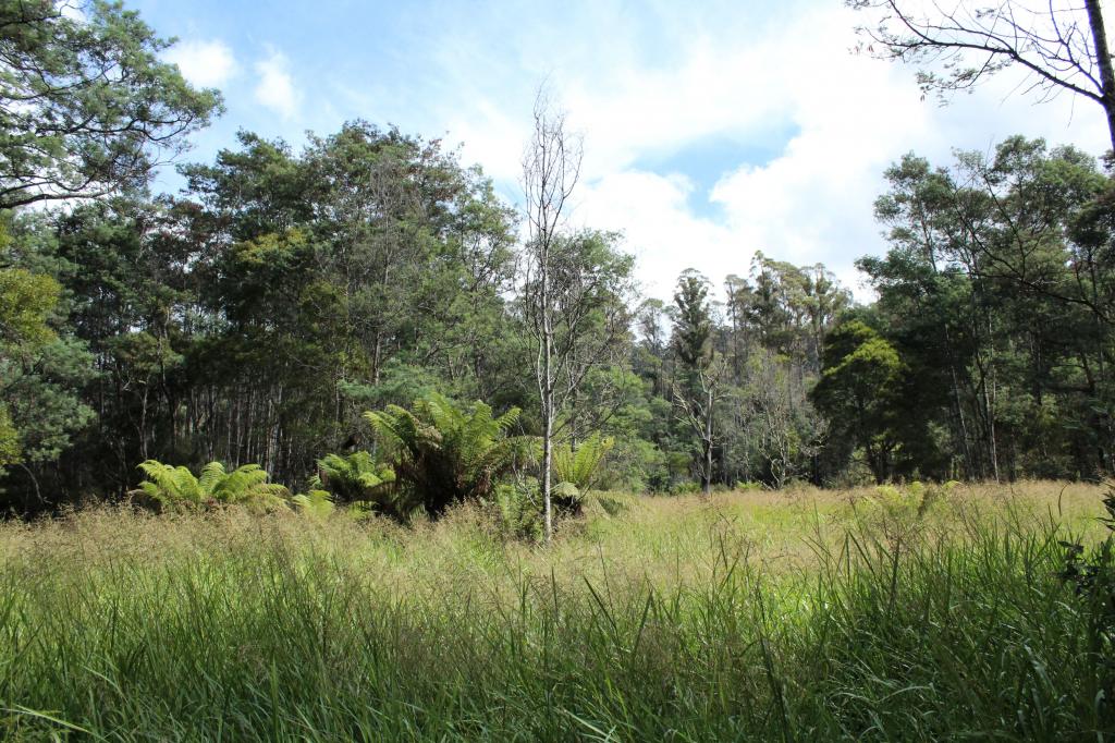 188 Bassetts Rd, Calder, TAS 7325