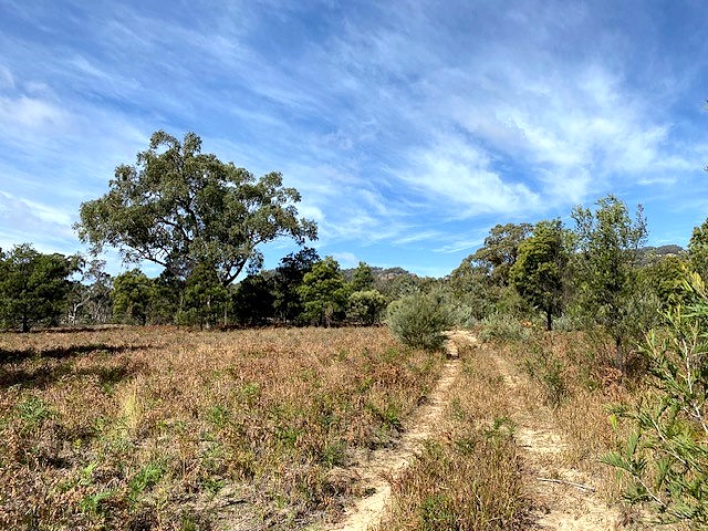 150 REEDY CREEK RD, RYLSTONE, NSW 2849
