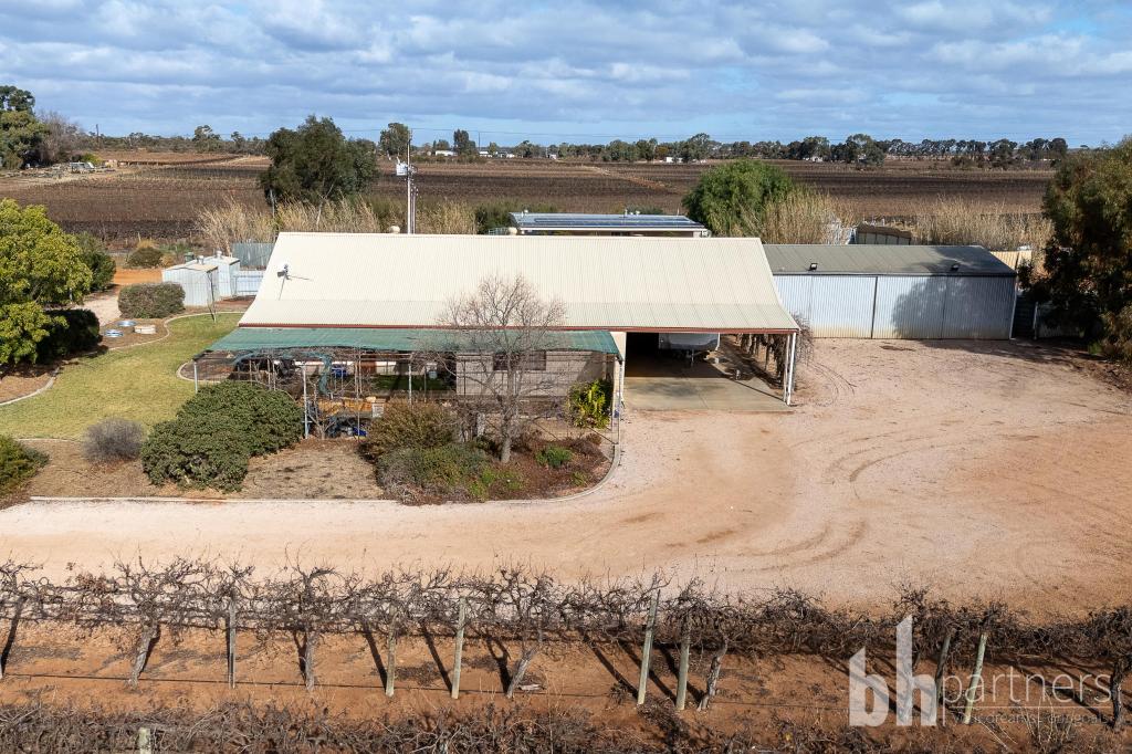 254 Dunstone Rd, Barmera, SA 5345