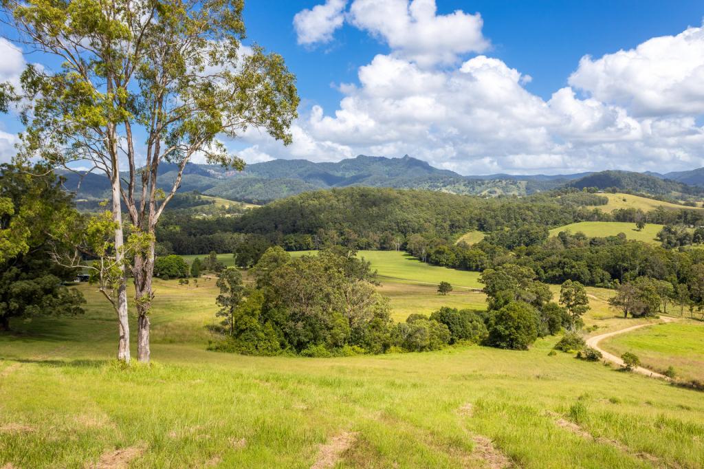 Lot 101 Beitibombi Creek Rd, Wherrol Flat, NSW 2429