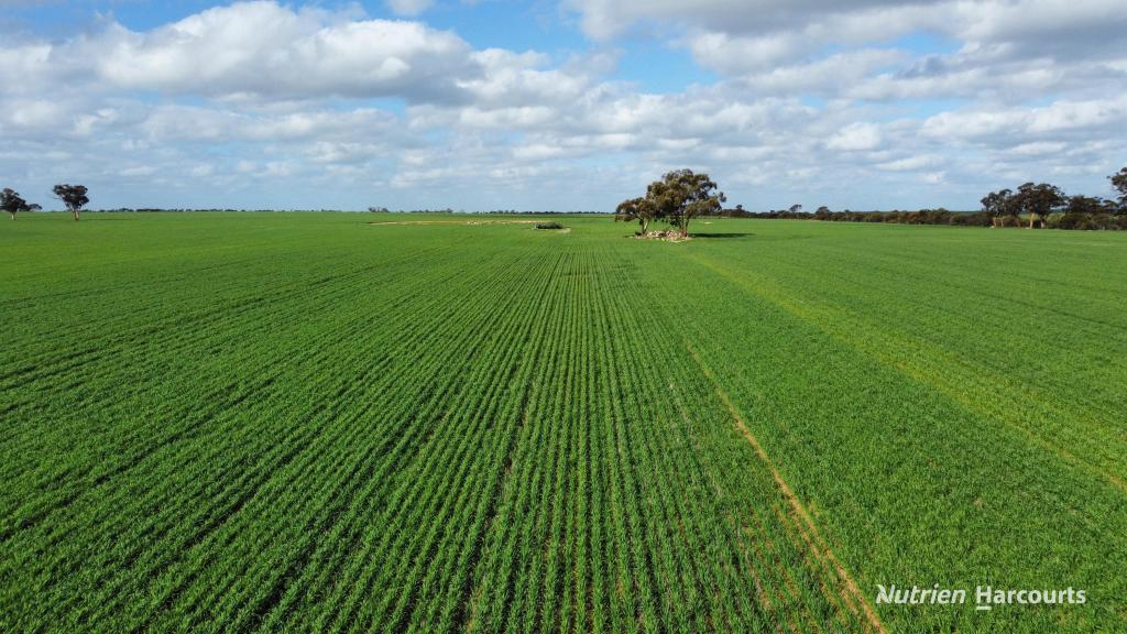 "Browns" Chandler-Merredin Rd, Burracoppin, WA 6421