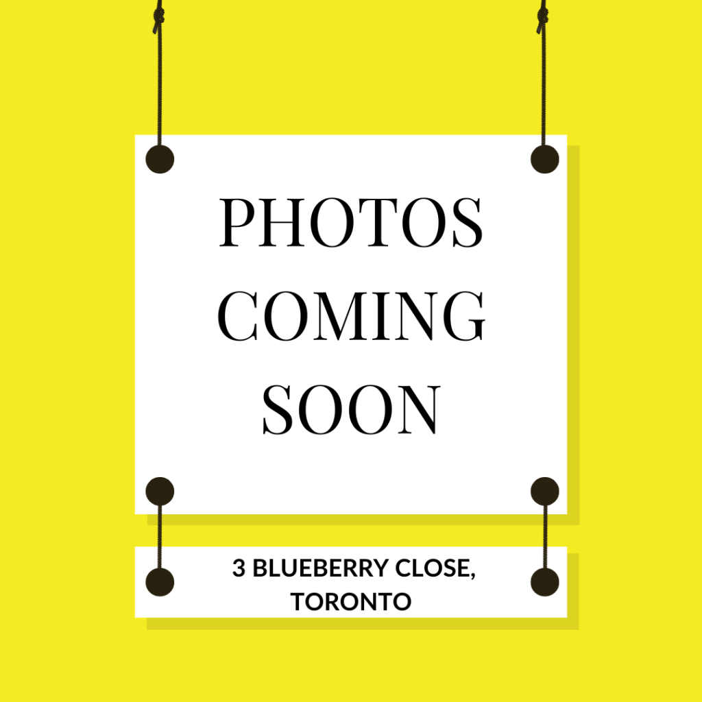 3 Blueberry Cl, Toronto, NSW 2283