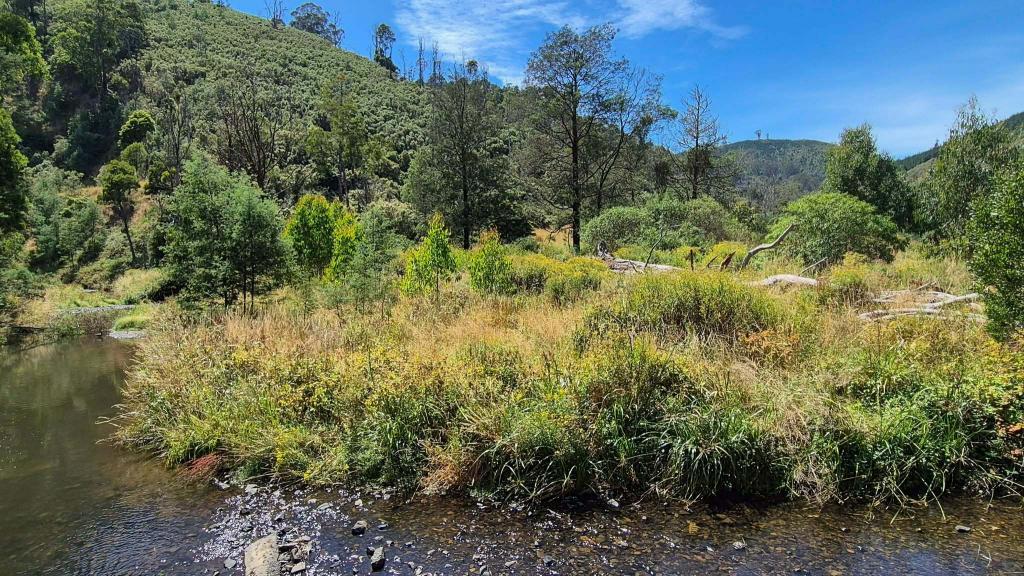 LOT 1 UPPER MIDDLE CREEK RD, BUDGEREE, VIC 3870