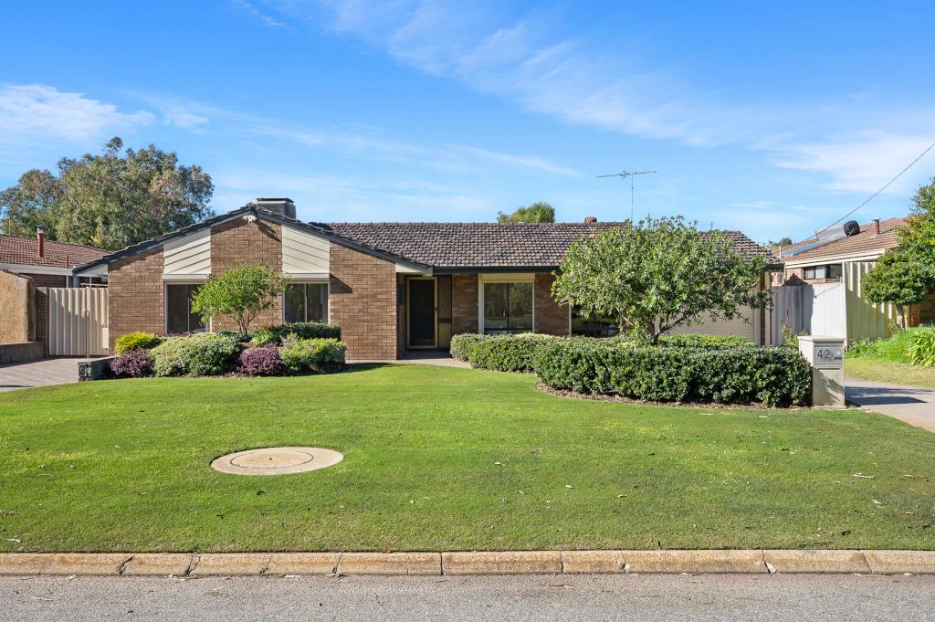 42 Tern Loop, Yangebup, WA 6164