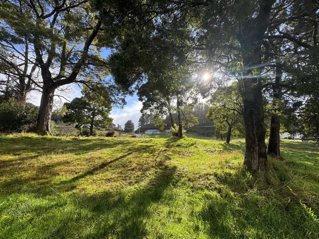 33 Wilson St, Zeehan, TAS 7469